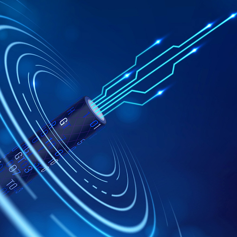 Lianou Electric visar upp innovativa produkter på International Electrical Expo och leder den gröna trenden